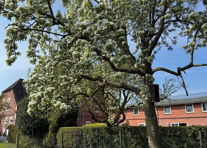 Lägenhet Backhuus 1